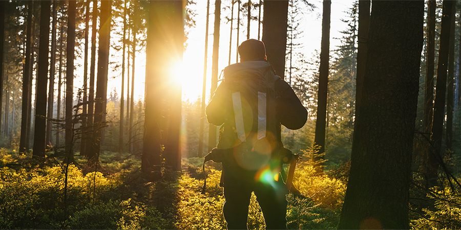 young-man-silent-forrest-with-sunlight